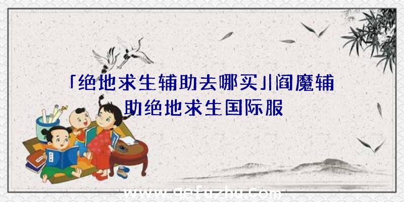 「绝地求生辅助去哪买」|阎魔辅助绝地求生国际服